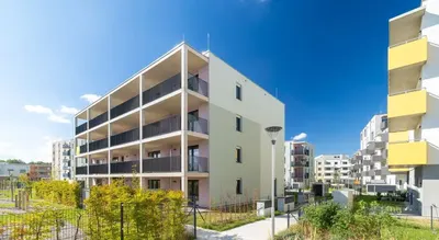Neubau Wiener Neustadt, 3.0 Zimmer, 77 m² — Bild 2