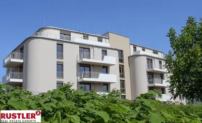 Neubau St. Pölten, Sankt Pölten — 2 Zimmer
