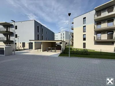 Neubau Wiener Neustadt, 3 Zimmer, 77 m² — Bild 2