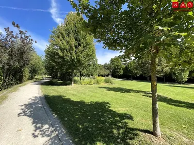 Neubau Linz, 2 Zimmer, 54 m² — Bild 3