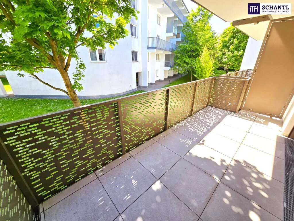 Neubau Wien, 23. Bezirk, Liesing, 2 Zimmer, 50 m²