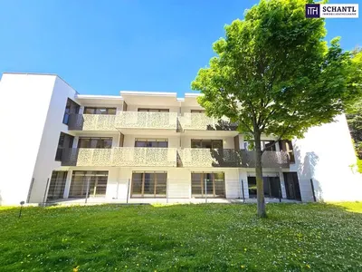 Neubau Wien, 23. Bezirk, Liesing, 2 Zimmer, 50 m² — Bild 2
