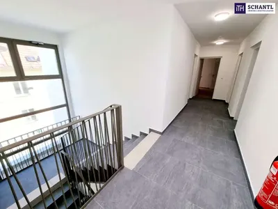 Neubau Wien, 23. Bezirk, Liesing, 2 Zimmer, 50 m² — Bild 4