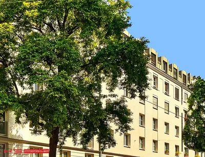 Neubau Wien, 04. Bezirk, Wieden — 2 Zimmer