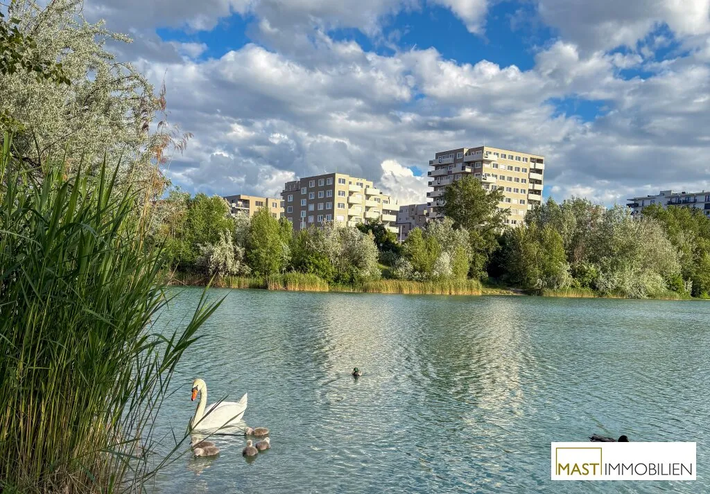 Neubau Wien, 22. Bezirk, Donaustadt, 3 Zimmer, 74 m²