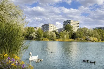 Neubau Wien, 22. Bezirk, Donaustadt — 3 Zimmer