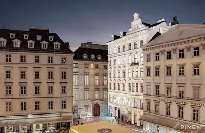 Neubau Wien, 01. Bezirk, Innere Stadt — 5 Zimmer