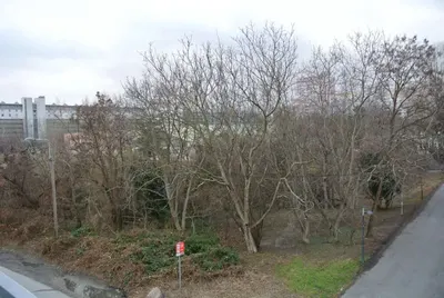 Neubau Wien, 21. Bezirk, Floridsdorf, 1 Zimmer, 34 m² — Bild 4