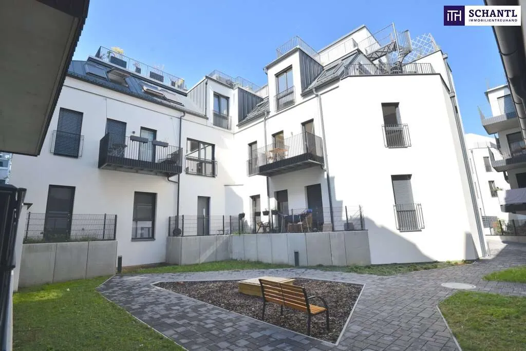 Neubau Wien, 18. Bezirk, Währing, 3 Zimmer, 78 m²
